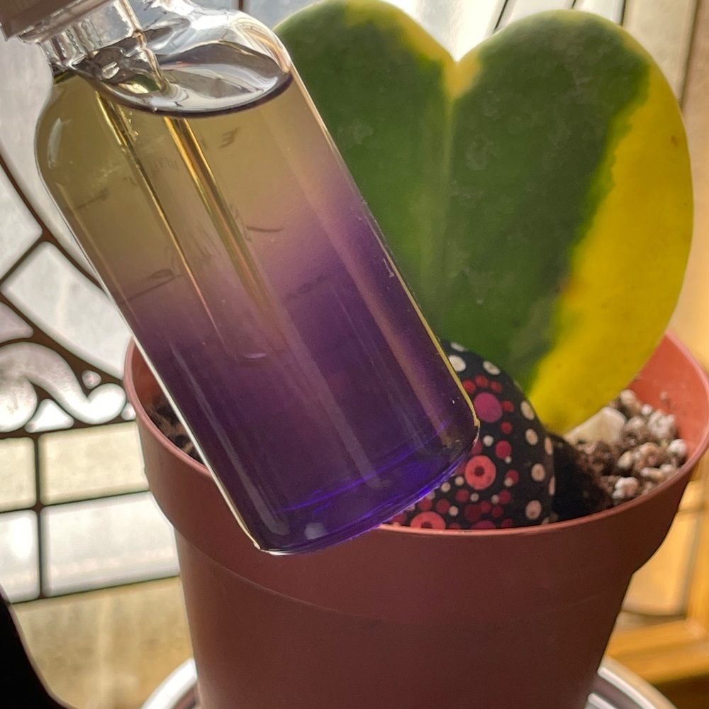EARTH HARBOR Nebula Adaptogen Clarity Ampoule - Picture 4 of 10